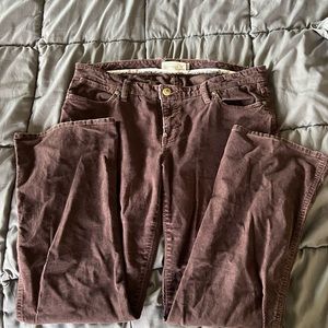 Old Navy women’s size 14 chocolate brown cords.